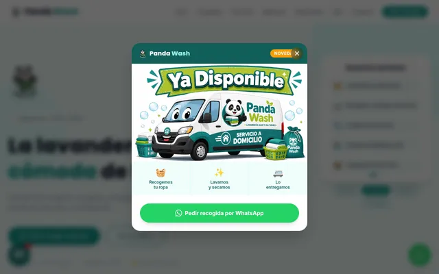 Página de inicio de Panda Wash